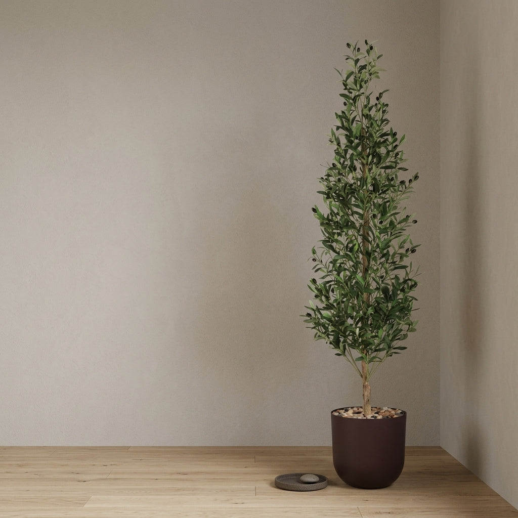Olive Tree - Brown Pot - 180 cm