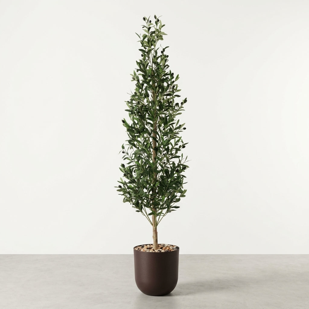 Olive Tree - Brown Pot - 180 cm