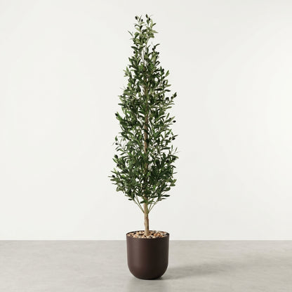 Olive Tree - Brown Pot - 180 cm