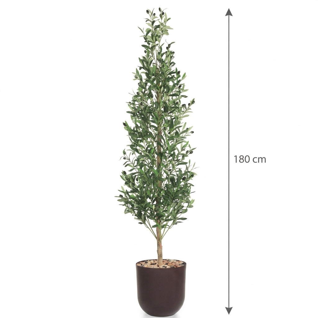MSD-PLANT-706-170-1178-BROWN