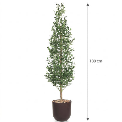 MSD-PLANT-706-170-1178-BROWN