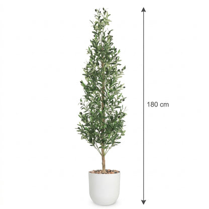 MSD-PLANT-706-170-1178-WHITE