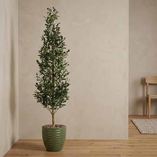 Olive Tree - Green Pot - 185 cm