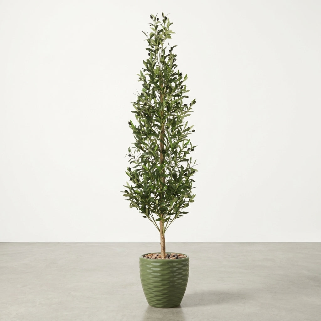 Olive Tree - Green Pot - 185 cm