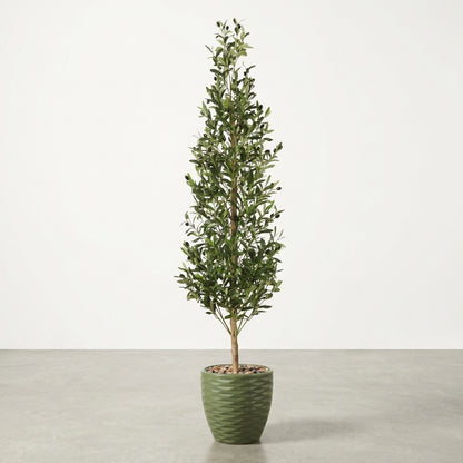 Olive Tree - Green Pot - 185 cm
