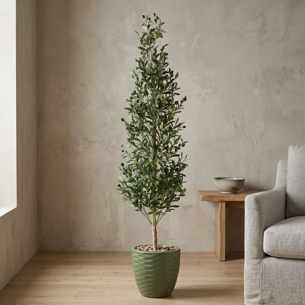 Olive Tree - Green Pot - 185 cm