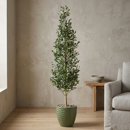 Olive Tree - Green Pot - 185 cm