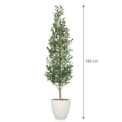 MSD-PLANT-706-170-1196-WHITE