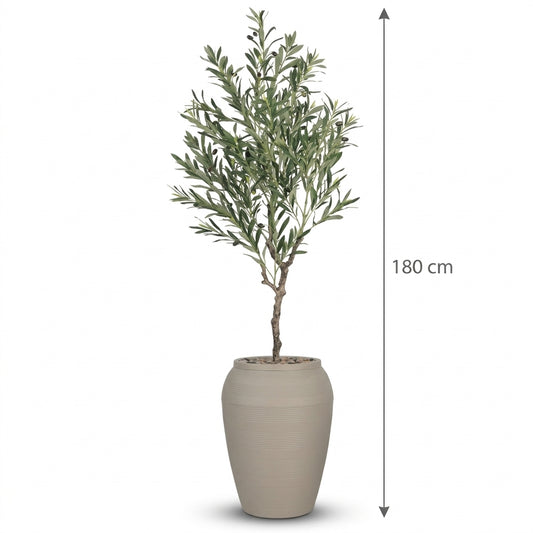 MSD-PLANT-7806-103-BEIGE