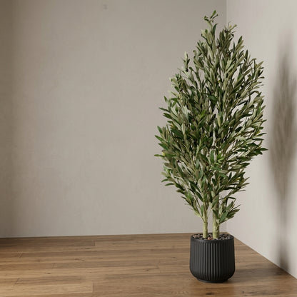 Olive Tree - Black Pot - 180 cm