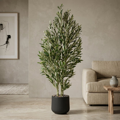 Olive Tree - Black Pot - 180 cm