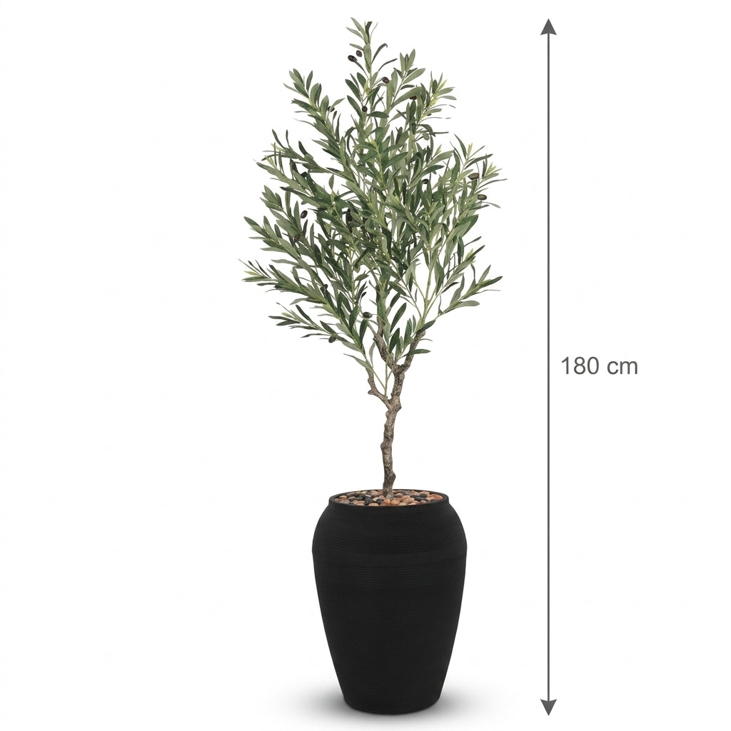 MSD-PLANT-7806-103-BLACK
