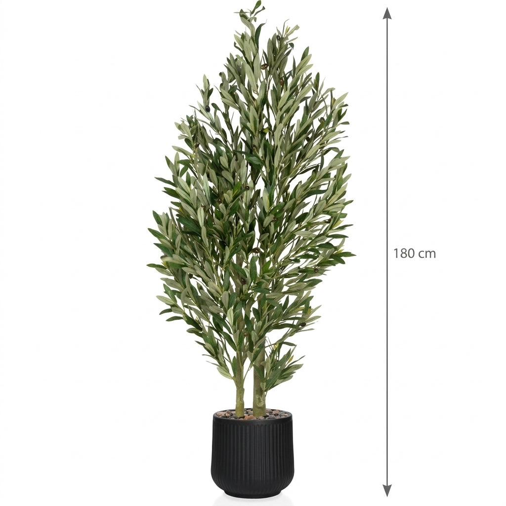 MSD-PLANT-7806-103-BLACK