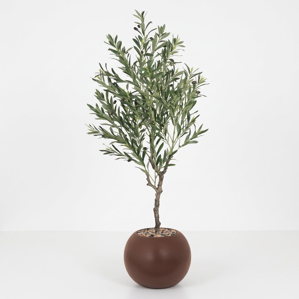 Olive Tree - Brown Pot - 145 cm
