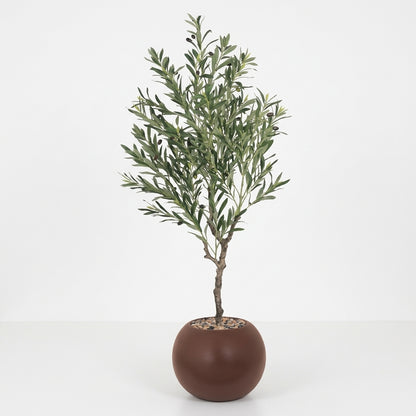 Olive Tree - Brown Pot - 145 cm