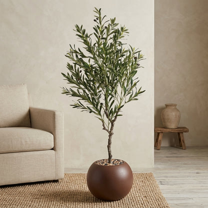 Olive Tree - Brown Pot - 145 cm