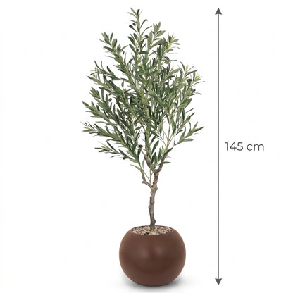 MSD-PLANT-7806-528-4-BROWN