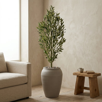 Olive Tree - Beige Pot - 165 cm