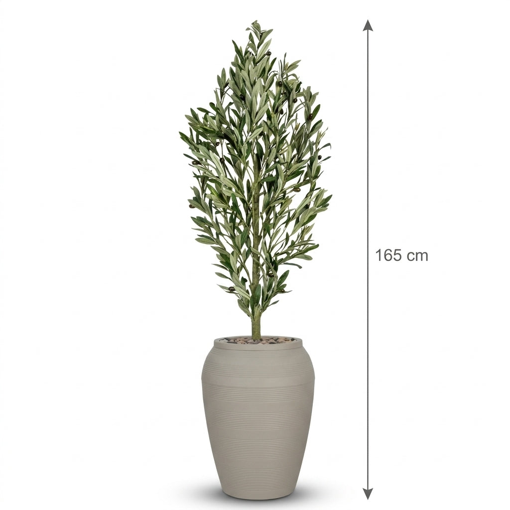 MSD-PLANT-7813-G1-103-BEIGE