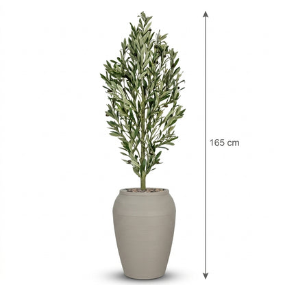 MSD-PLANT-7813-G1-103-BEIGE