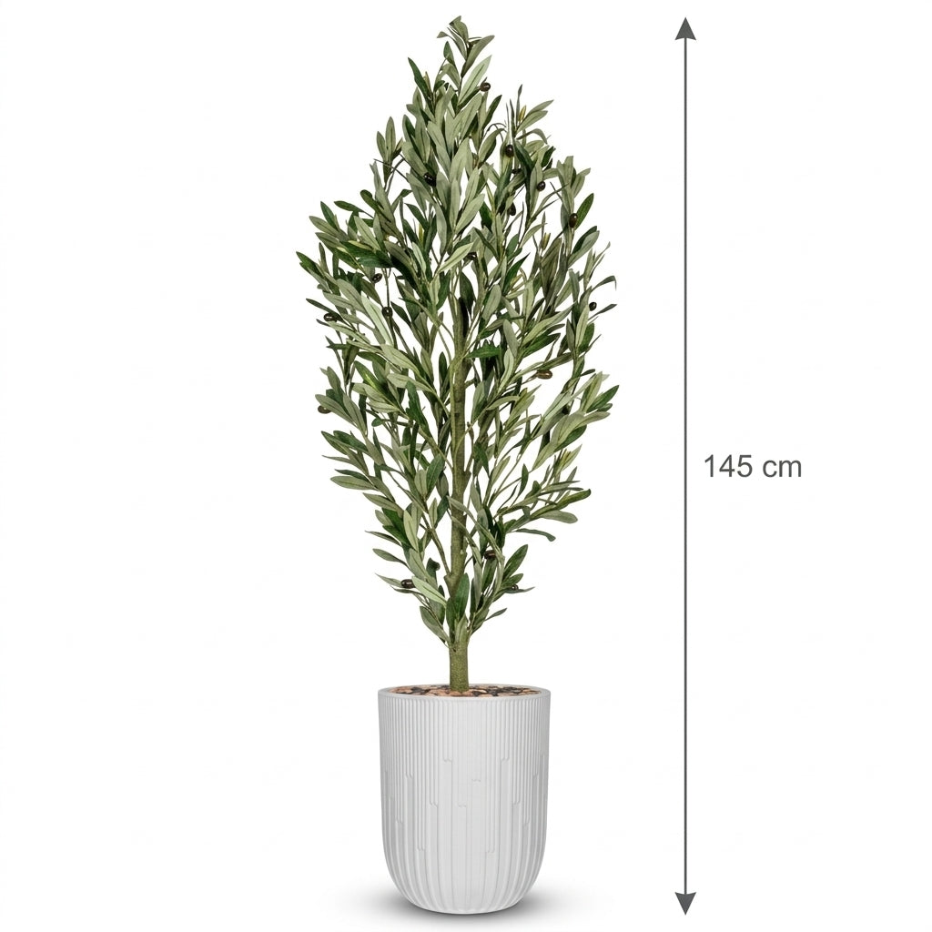 MSD-PLANT-7813-G1-1148-3-WHITE