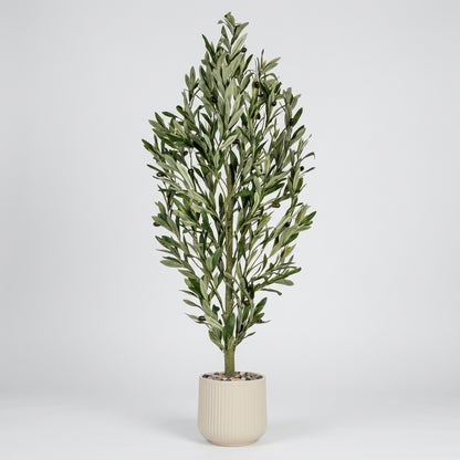 Olive Tree - Beige Pot - 120 cm