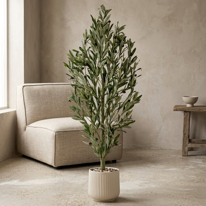 Olive Tree - Beige Pot - 120 cm