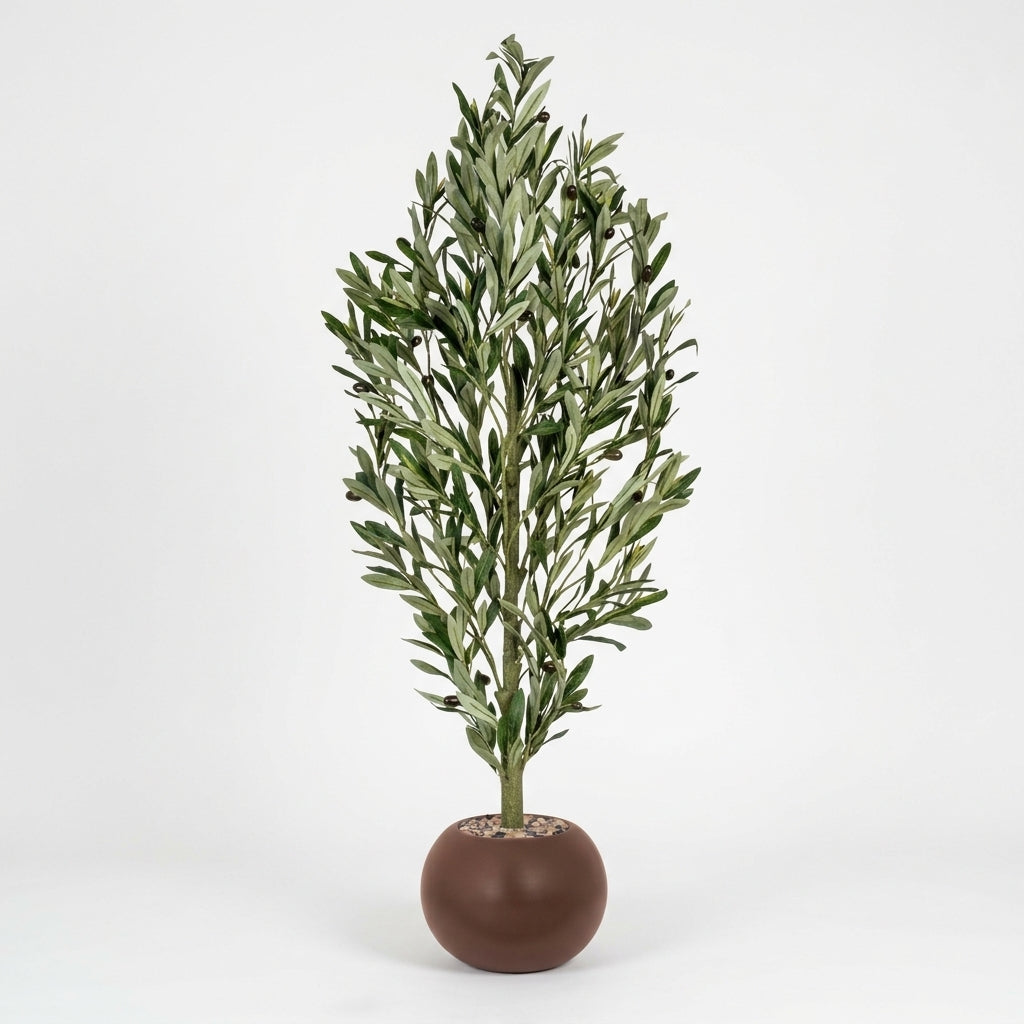 Olive Tree - Brown Pot - 130 cm