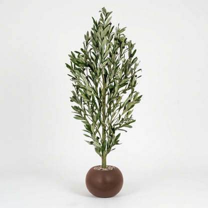 Olive Tree - Brown Pot - 130 cm