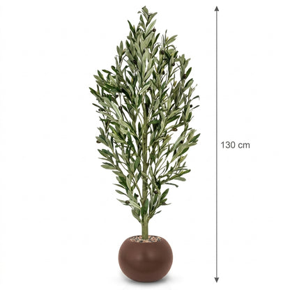 MSD-PLANT-7813-G1-528-4-BROWN