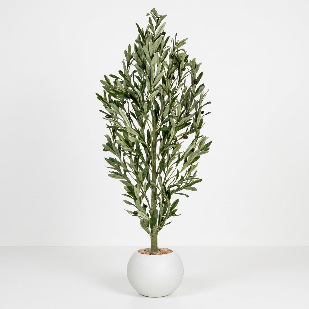 Olive Tree - White Pot - 130 cm