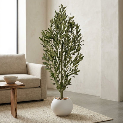 Olive Tree - White Pot - 130 cm