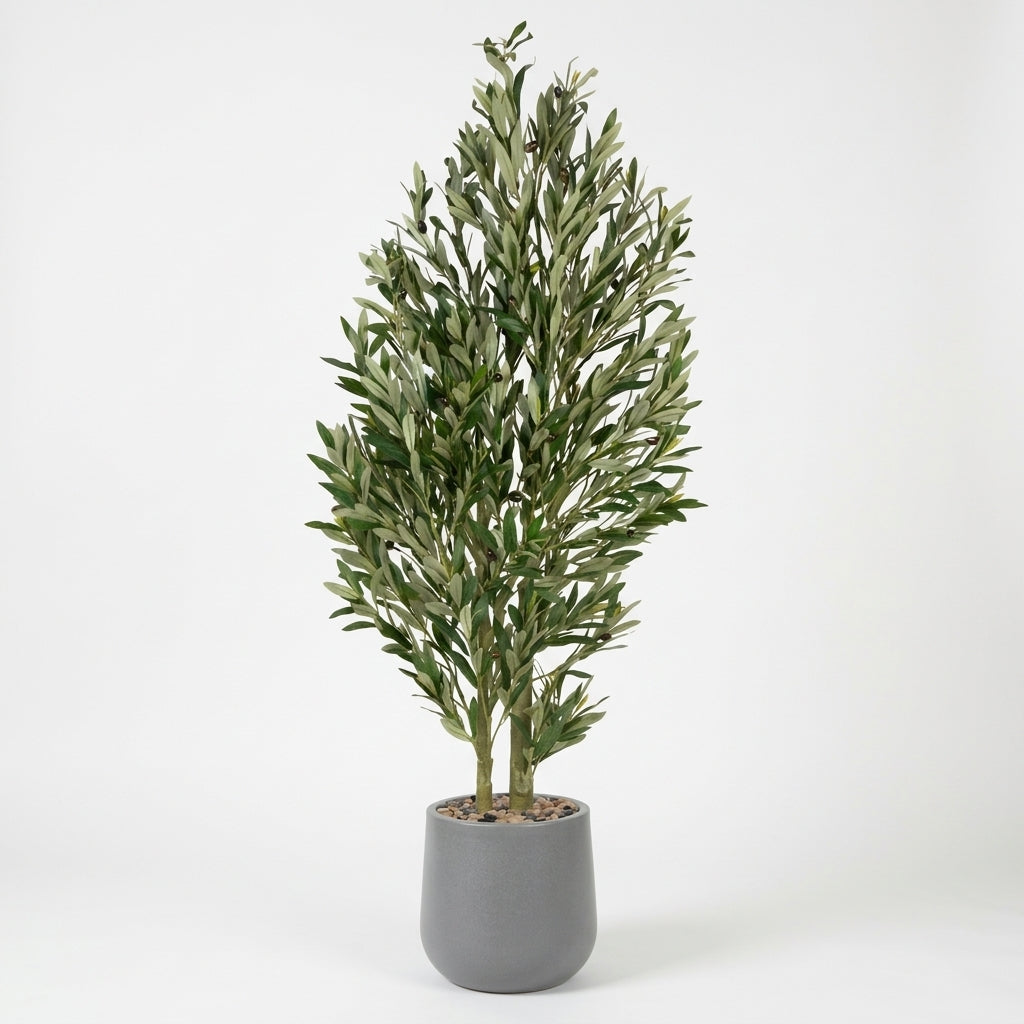 Olive Tree - Grey Pot - 155 cm