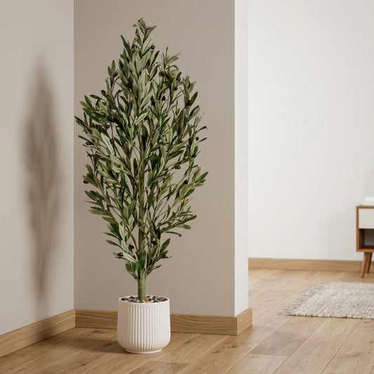 Olive Tree - White Pot - 135 cm