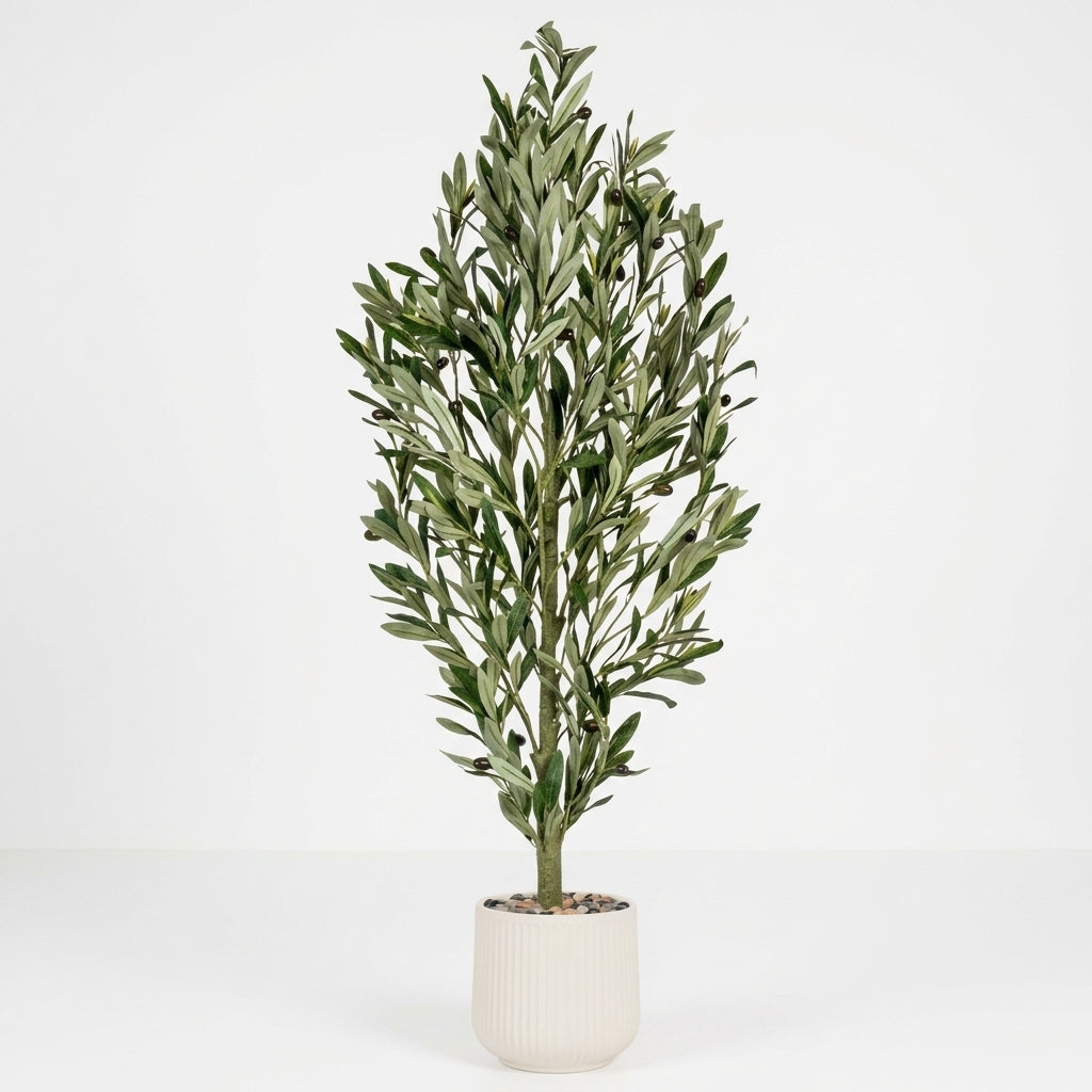 Olive Tree - White Pot - 135 cm