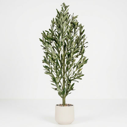 Olive Tree - White Pot - 135 cm