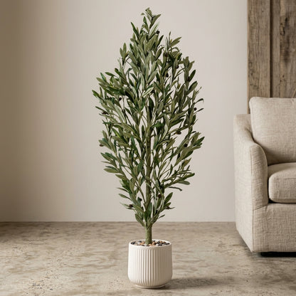 Olive Tree - White Pot - 135 cm