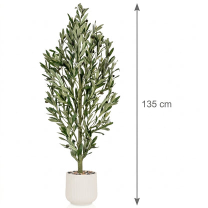 MSD-PLANT-7813-g1-1166-WHITE