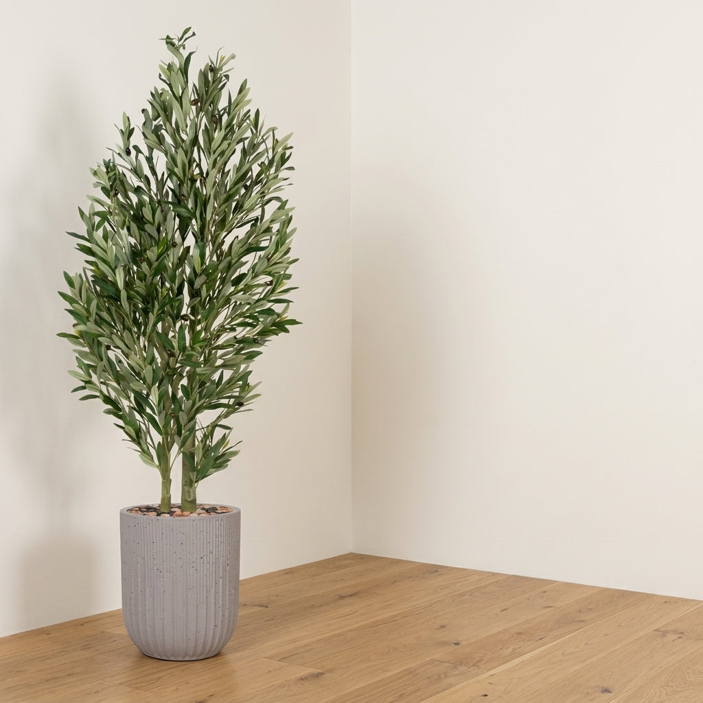 Olive Tree - Beige Pot - 165 cm