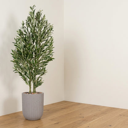 Olive Tree - Beige Pot - 165 cm