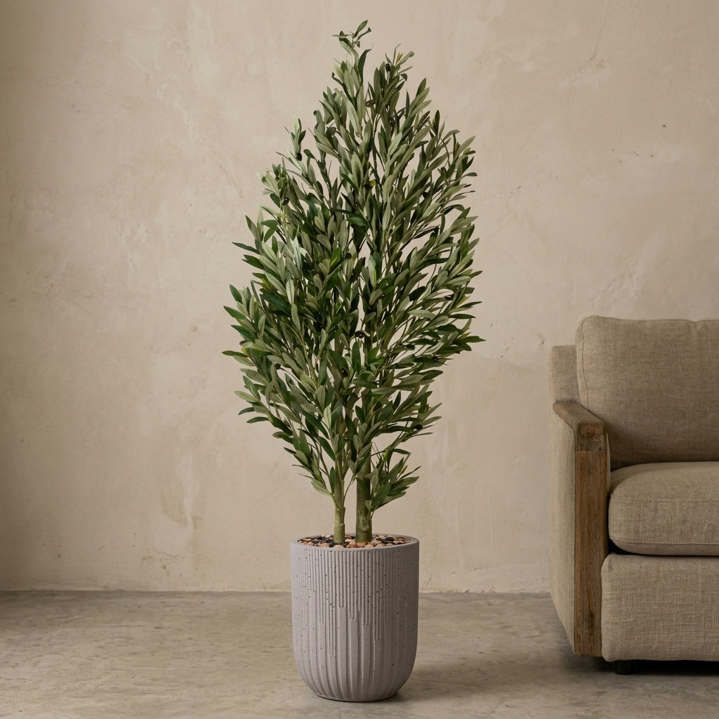 Olive Tree - Beige Pot - 165 cm