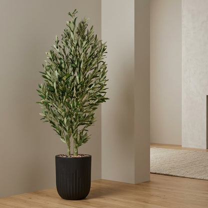 Olive Tree - Black Pot - 165 cm