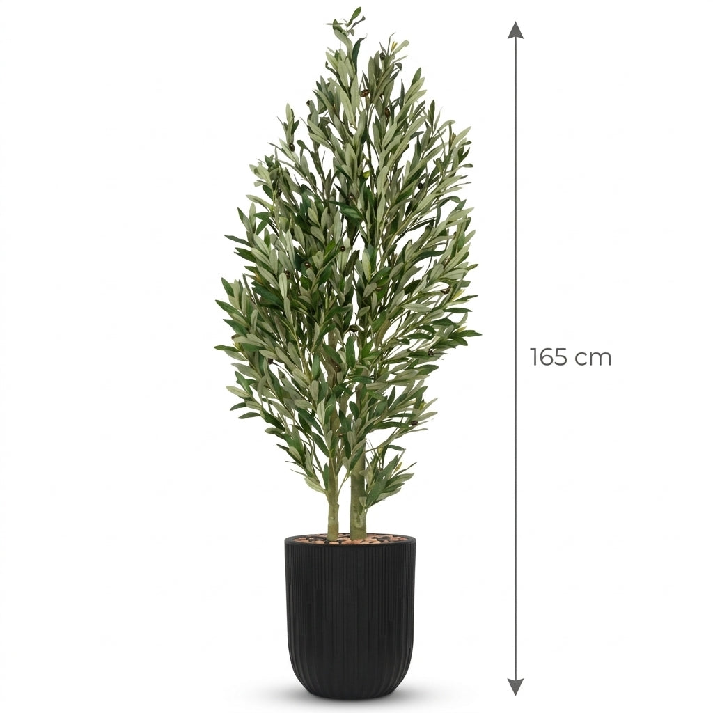 MSD-PLANT-7813-g2-1148-4-BLACK