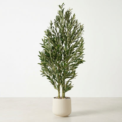 Olive Tree - Beige Pot - 150 cm