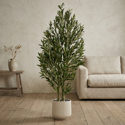 Olive Tree - Beige Pot - 150 cm