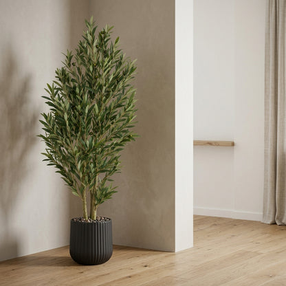 Olive Tree - Black Pot - 150 cm