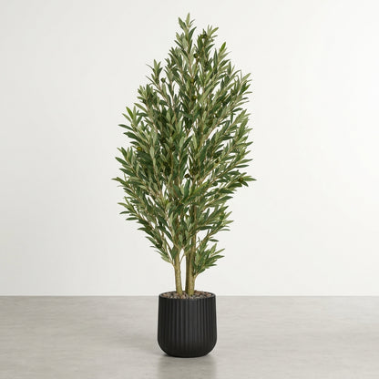 Olive Tree - Black Pot - 150 cm