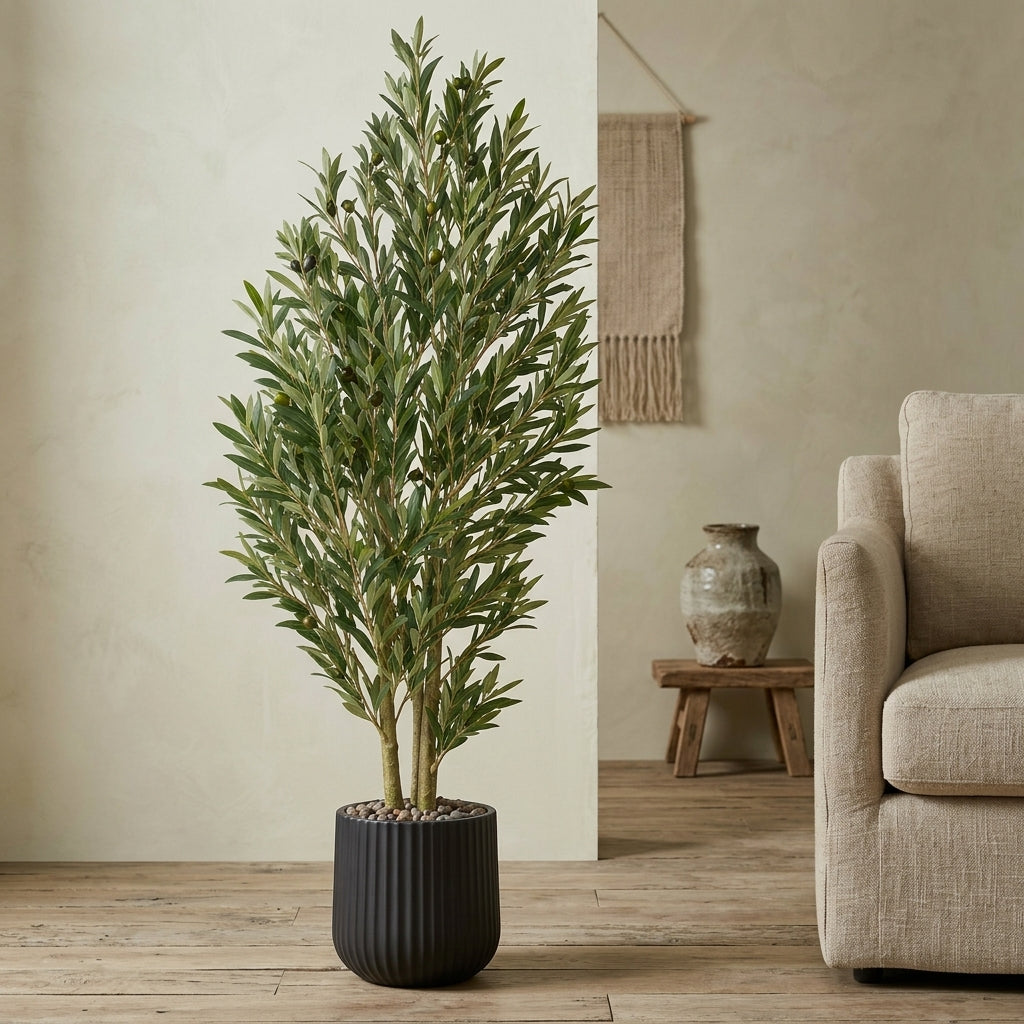 Olive Tree - Black Pot - 150 cm