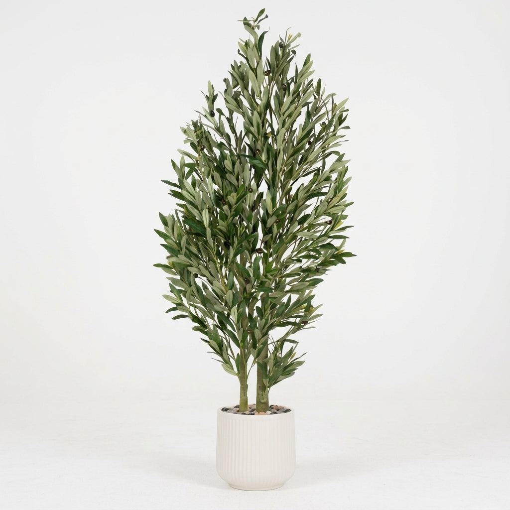 Olive Tree - White Pot - 150 cm