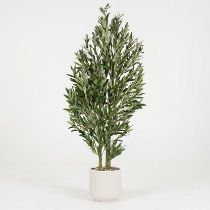 Olive Tree - White Pot - 150 cm